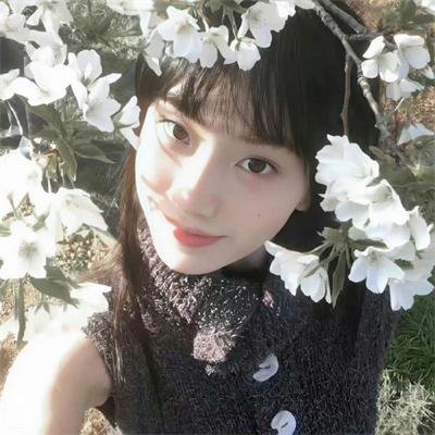 苏菲的世界