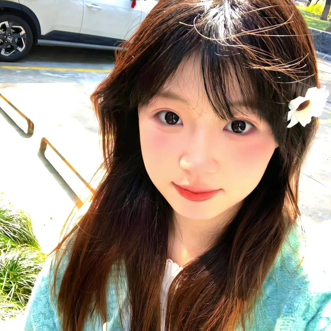 如翼之舟